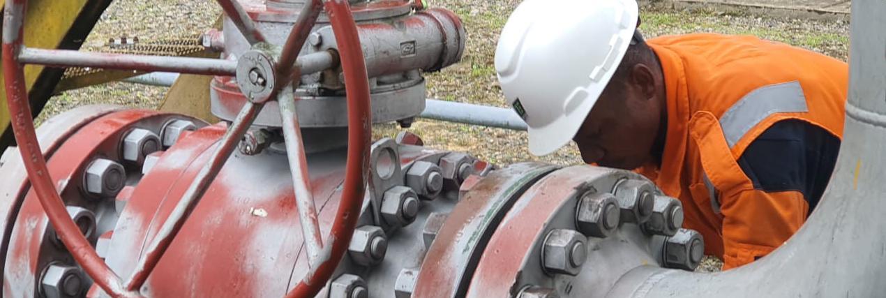 Our professional engineering team in the field